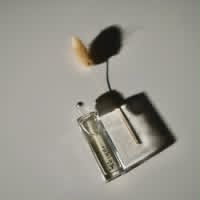 Riddle Oil - Fragrance Oil Roll-on