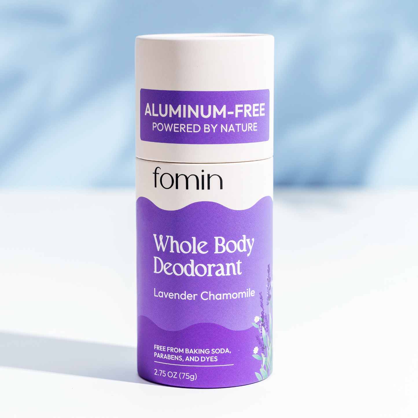 Whole Body Deodorant Stick | 1 Pack