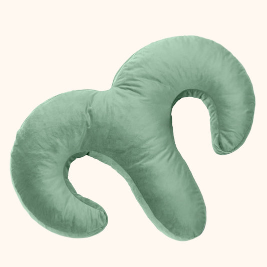 Sage Arie Duo Couples Pillow by Liberator against white background.